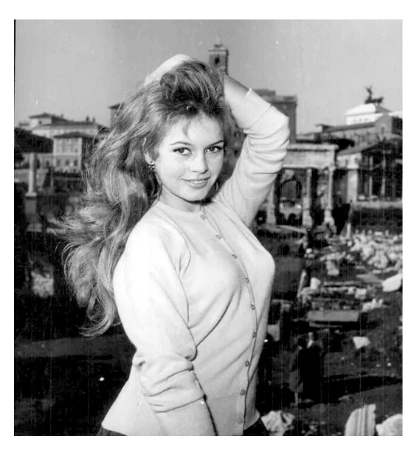 Brigitte Bardot is survived by her contributions to cinema and her lasting influence on culture across the globe.